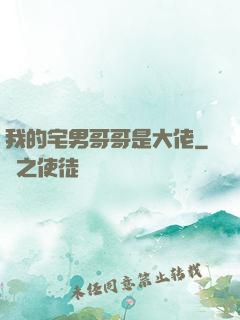 我的宅男哥哥是大佬