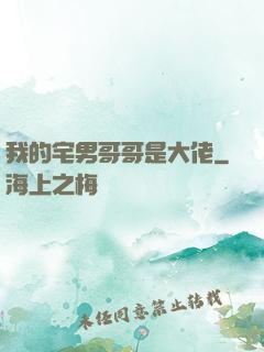 我的宅男哥哥是大佬