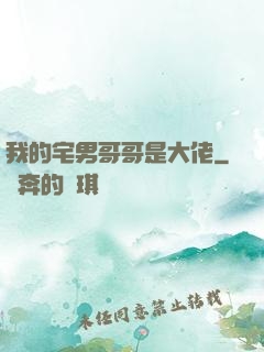 我的宅男哥哥是大佬