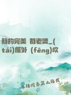 我的完美總裁老婆