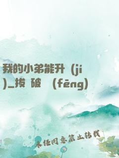 我的小弟能升級(jí)