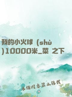 我的小火球術(shù)10000米