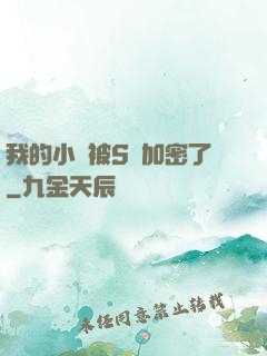我的小說被S級加密了