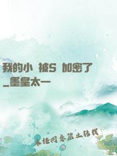 我的小說被S級加密了