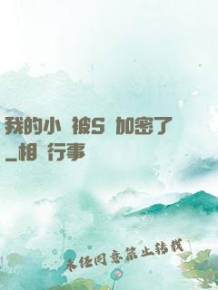 我的小說被S級加密了