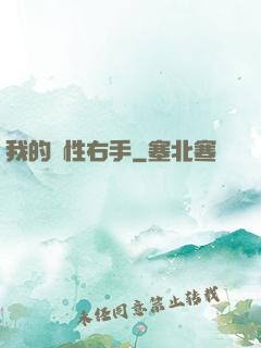 我的屬性右手