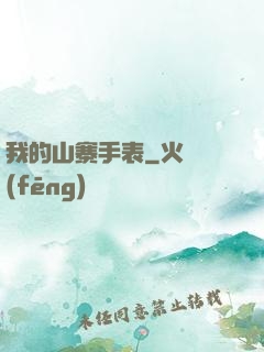 我的山寨手表