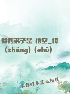 我的弟子是孫悟空