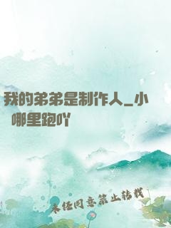 我的弟弟是制作人