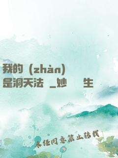 我的戰(zhàn)機是洞天法寶