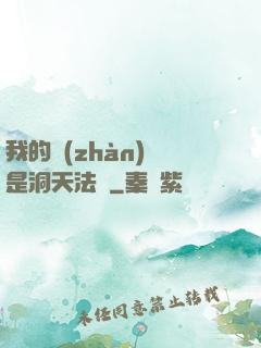 我的戰(zhàn)機是洞天法寶