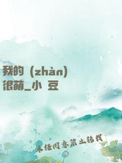 我的戰(zhàn)艦很萌