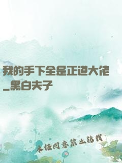 我的手下全是正道大佬