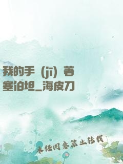 我的手機(jī)連著塞伯坦