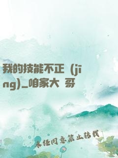 我的技能不正經(jīng)
