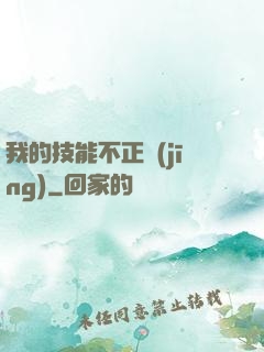 我的技能不正經(jīng)