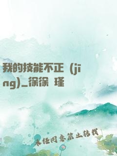我的技能不正經(jīng)