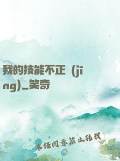 我的技能不正經(jīng)