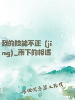 我的技能不正經(jīng)