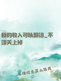 我的收入可以翻倍