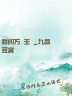 我的方塊王國