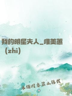 我的明星夫人