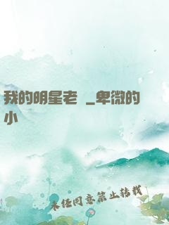 我的明星老師