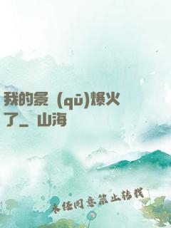 我的景區(qū)爆火了