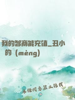 我的智商能充值