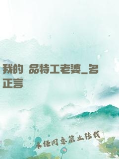 我的極品特工老婆
