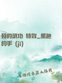 我的武功帶特效