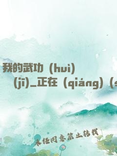 我的武功會(huì)掛機(jī)