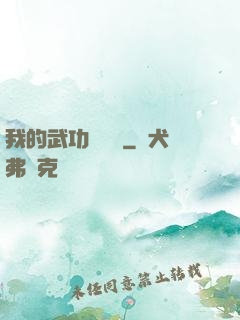 我的武功會掛機