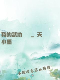 我的武功會掛機