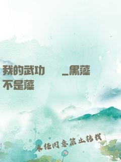 我的武功會掛機
