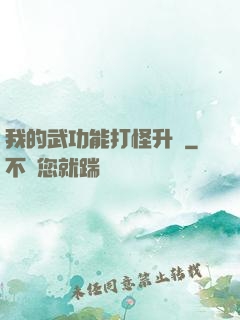 我的武功能打怪升級