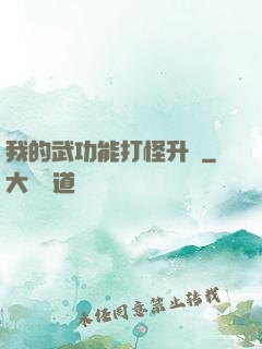我的武功能打怪升級