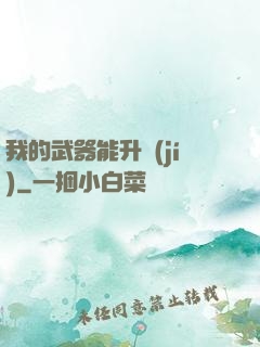 我的武器能升級(jí)