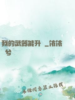 我的武器能升級