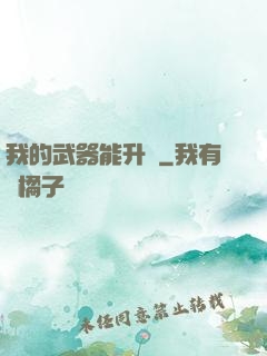 我的武器能升級