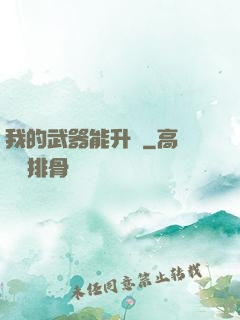 我的武器能升級