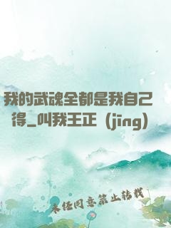 我的武魂全都是我自己變得