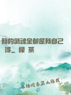 我的武魂全都是我自己變得