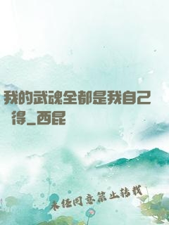 我的武魂全都是我自己變得