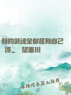 我的武魂全都是我自己變得