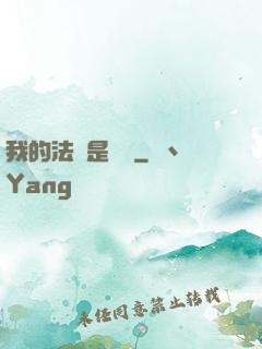 我的法寶是電腦