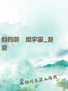 我的游戲風靡宇宙