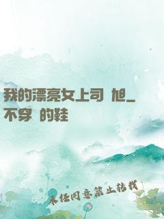 我的漂亮女上司羅旭