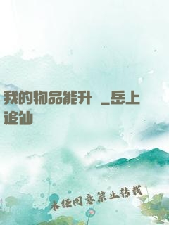 我的物品能升級