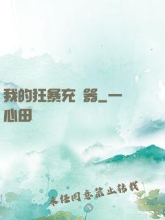 我的狂暴充電器